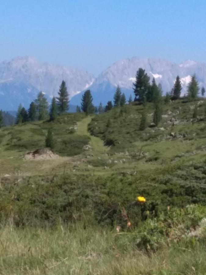 Der Grosse Stadl Langenfeld Luaran gambar